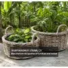 Rattan Wicker Storage Baskets