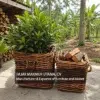 LARGE CHUNKY RATTAN BASKET